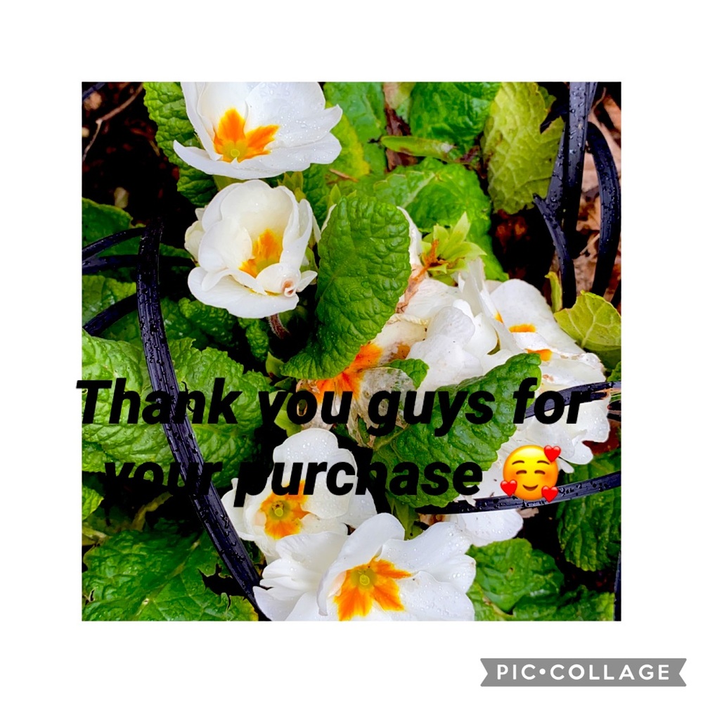 Thank you 😊 guys for your purchase 🥰